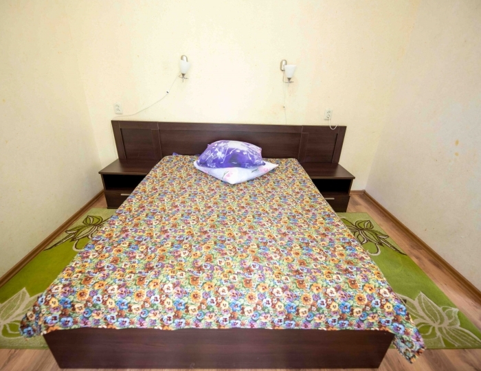 Полулюкс Полулюкс 1-местный (10) корпус 2 - Санаторий «Березина» Беларусь Гута